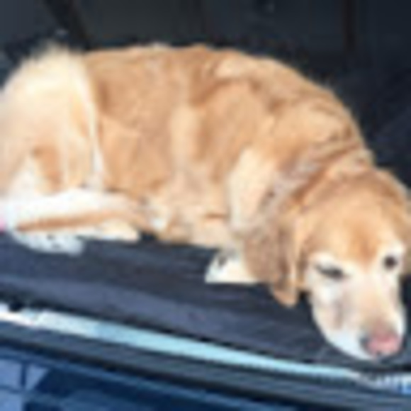 Meet your Posher, Edith - Picture 1 of 1